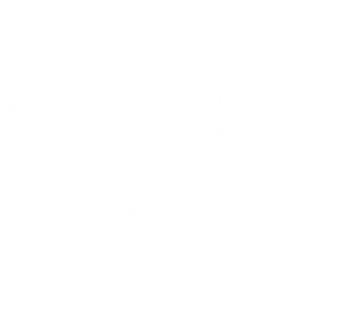 WSVHJ website white-certified2026
